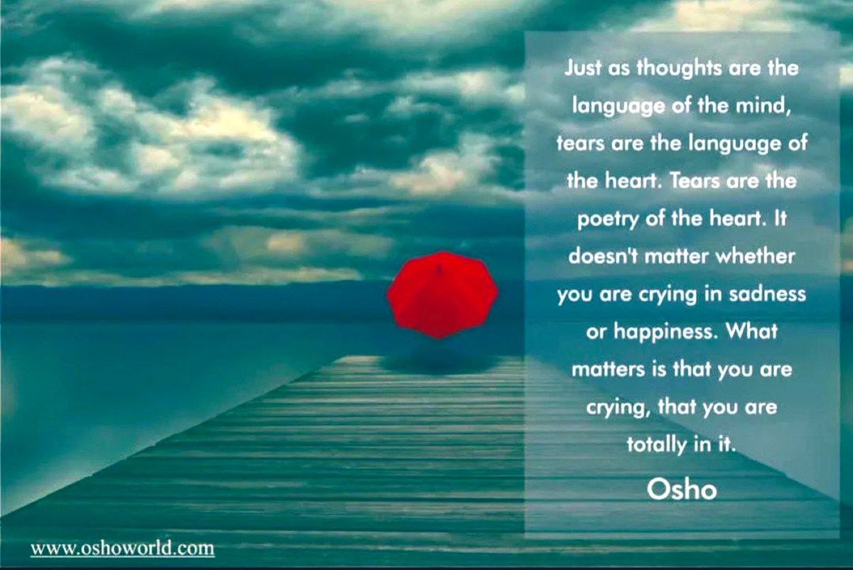 travelanita1's tweet image. Just saw this and knew it was a reminder…
 for all of us who have wet eyes and hurting hearts right now..
 for Alba’s living in suffering to transition in LoVe to a better place
 ..and all sentient souls like her in this earth realm..
Who came to remind us that by heart we are…