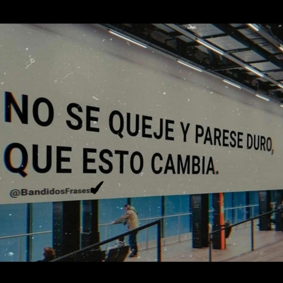 BANDIDOS (@bandidosfrasess) on Twitter photo 