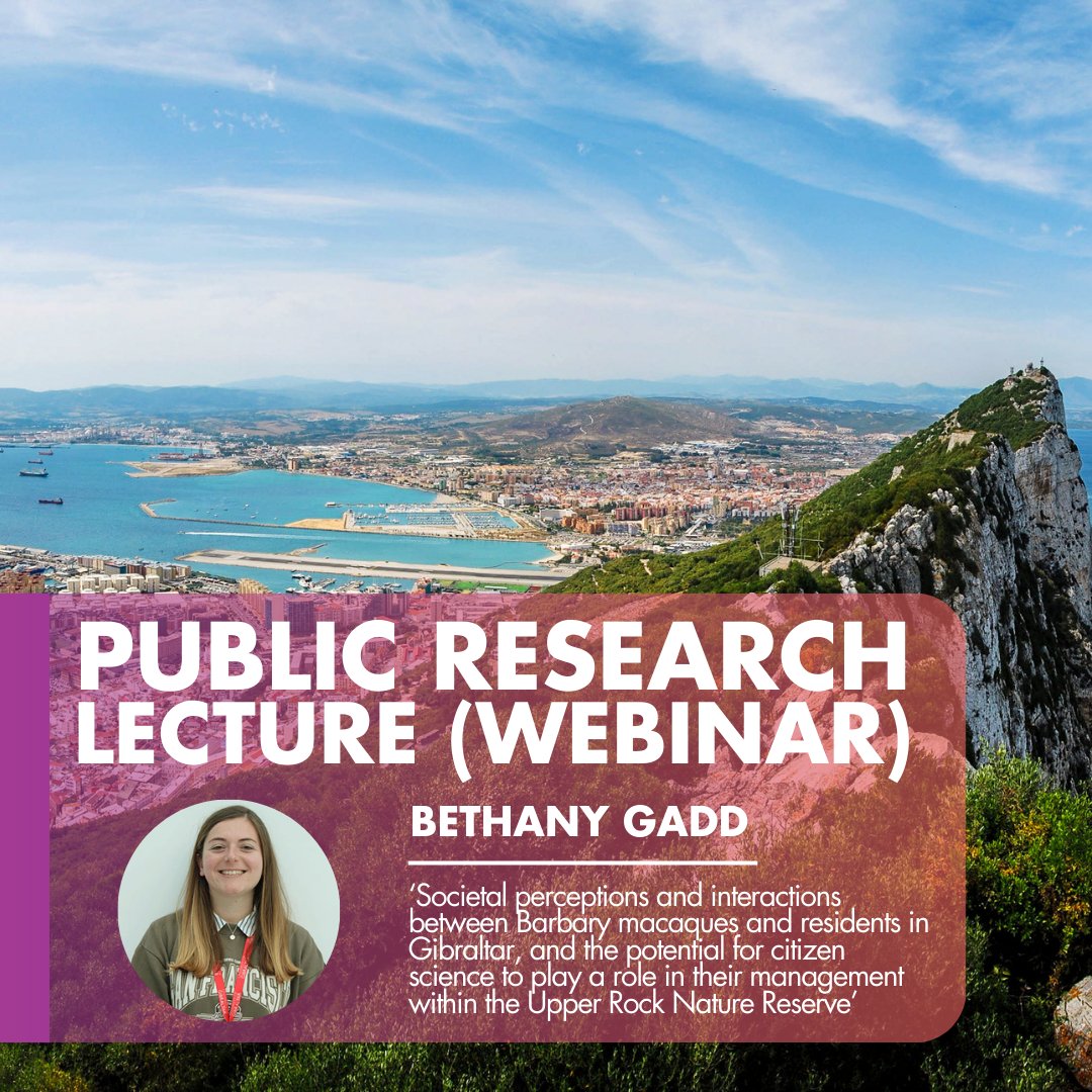 Uni_Gib's tweet photo. Join us online on 22nd January 2025, 7–8 pm CET for a Public Research Lecture by Bethany Gadd on human-Barbary macaque interactions in Gibraltar and the role of citizen science in managing them.

👉 Register: https://t.co/RdUefwGgF0

#UniversityofGibraltar https://t.co/swpxFZ6z6d