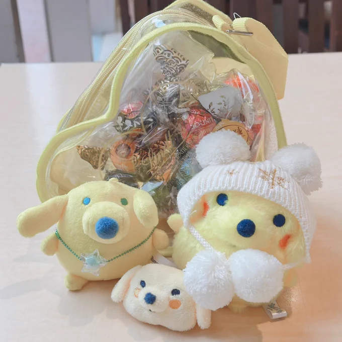 そういえば、新しいお出かけバッグをゲットしました 