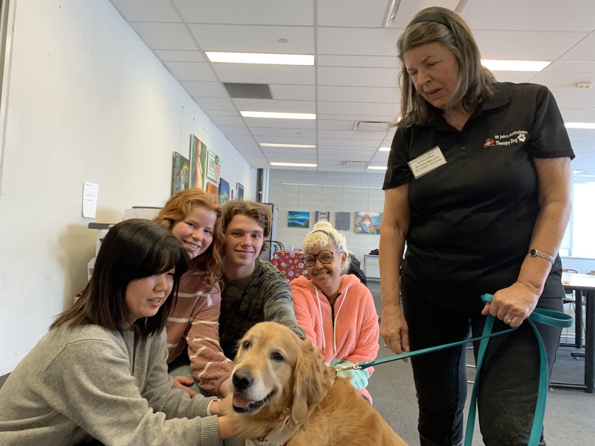 Therapy dogs @NT easing the stress of final assessments for sem 1. Wishing our Ss all the best with their end of semester summatives! <a href="/NTCI_Parents/">NTCI Parent Community</a> <a href="/FOS6Alvarez/">Cassandra Alviani-Alvarez</a> <a href="/shelleylaskin/">Shelley Laskin 🇨🇦</a>