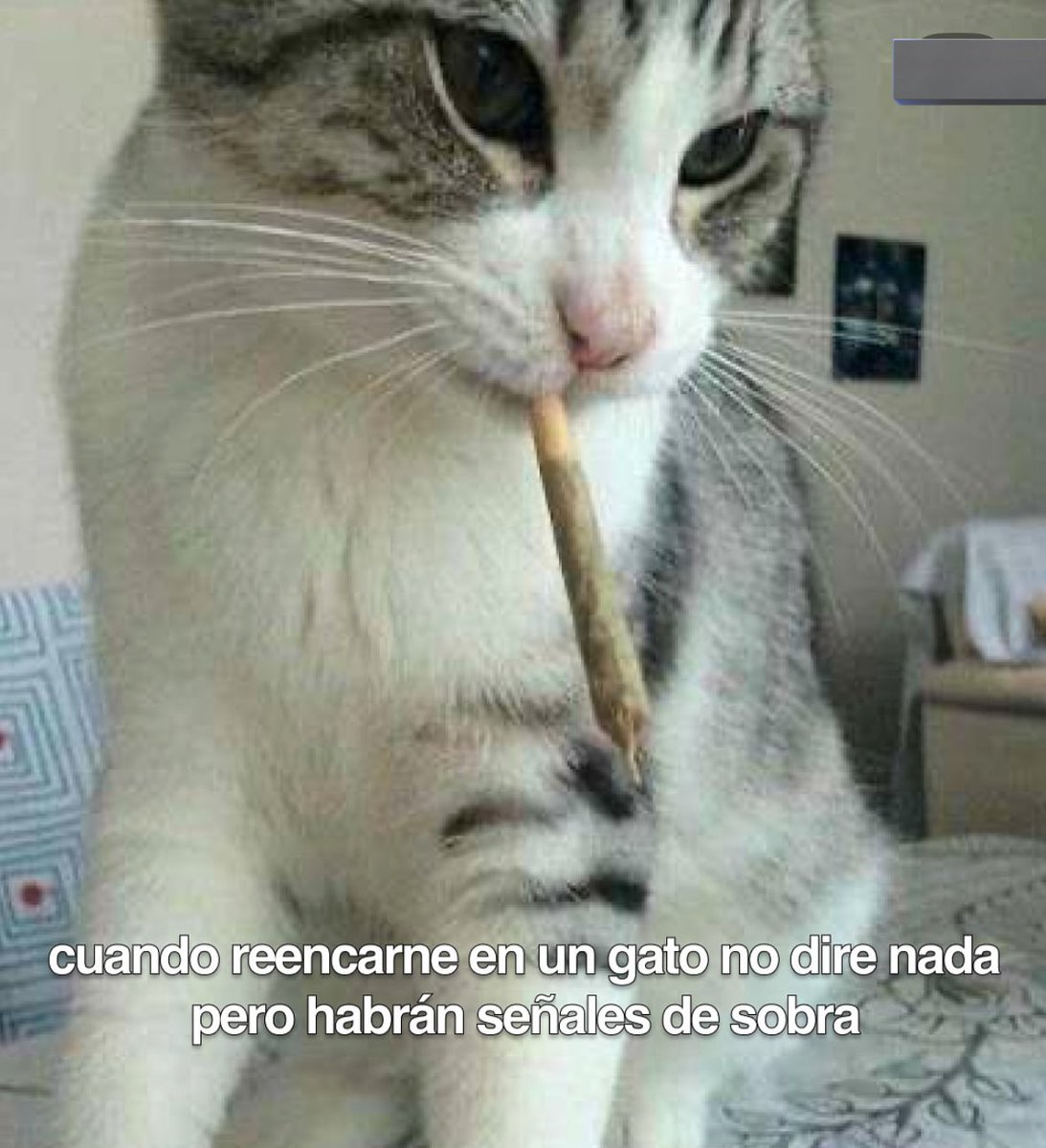 Angel Artesano ॐ (@angeel_artesano) on Twitter photo 