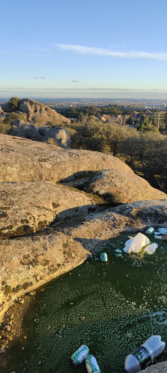 Beatriz Lizarraga tweet media