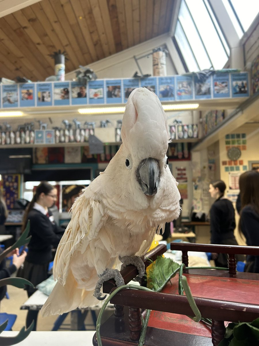 Miss Payet Art tweet media