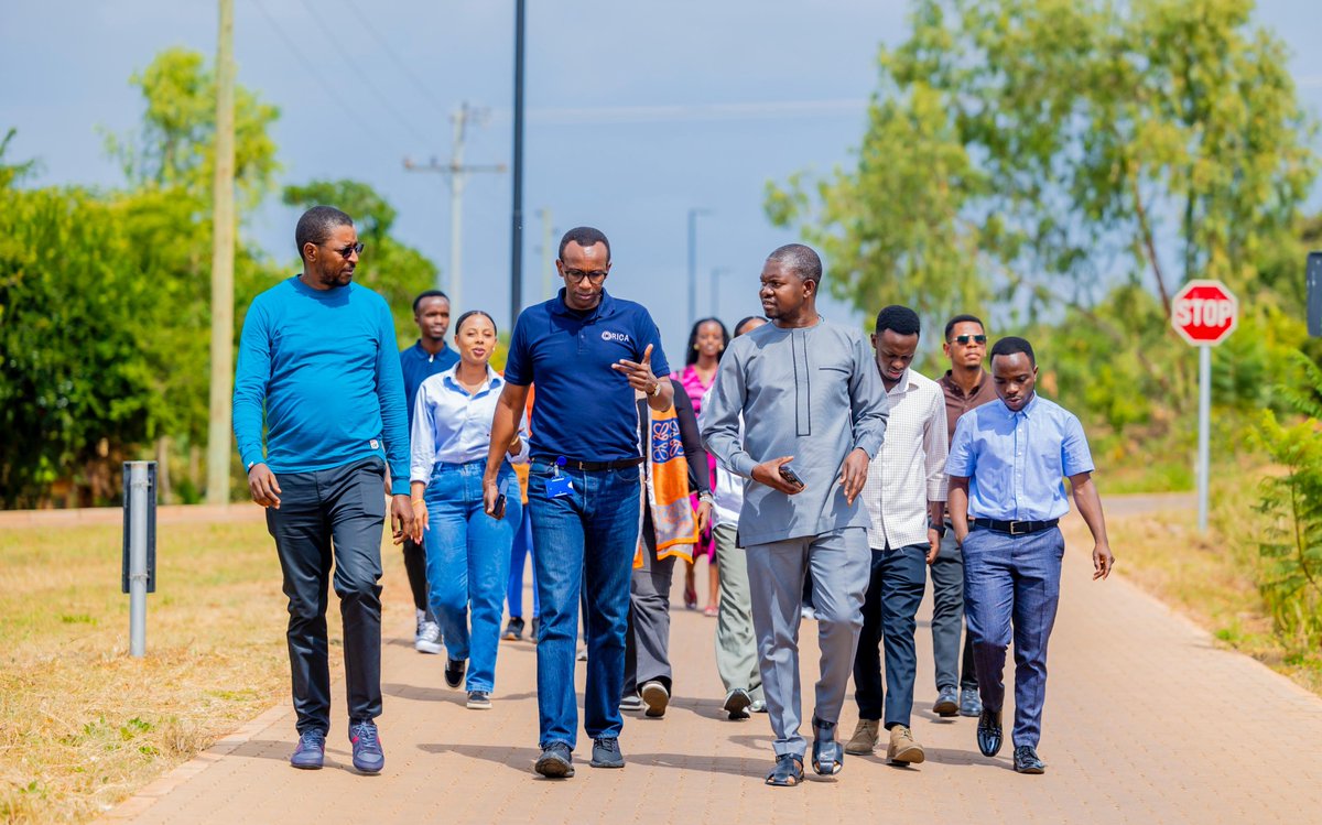 Rwanda Institute for Conservation Agriculture tweet media