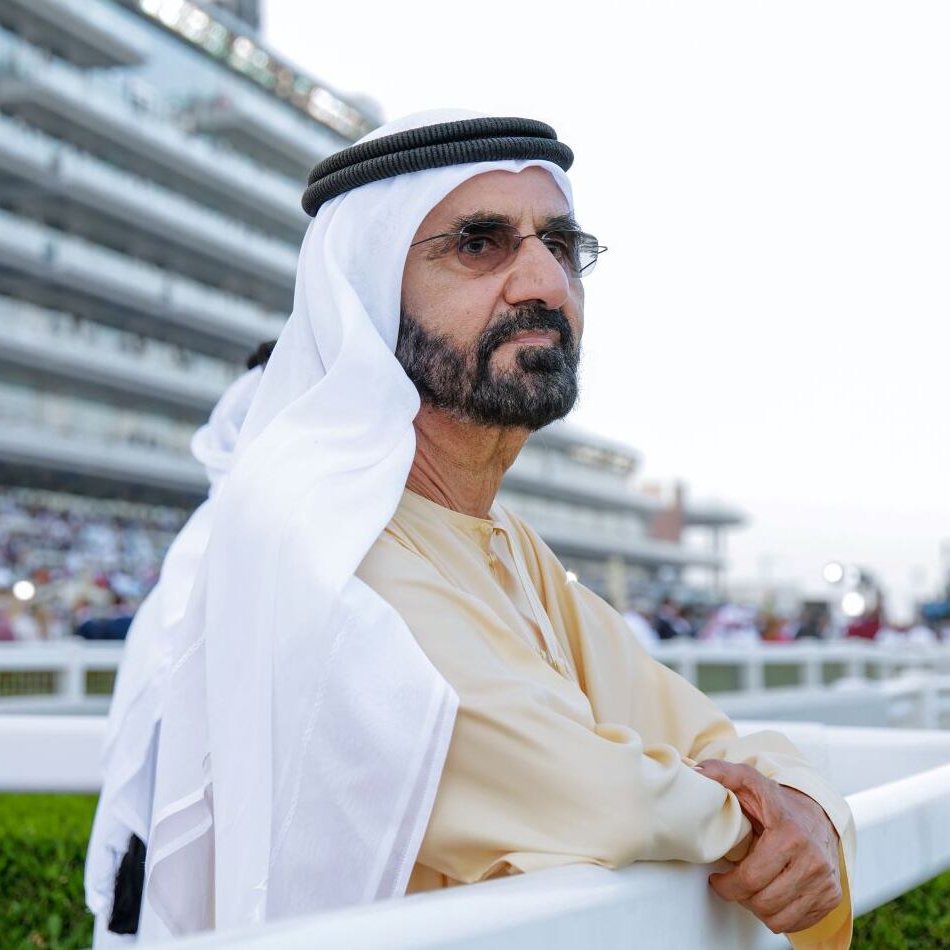 Cultination tweet media