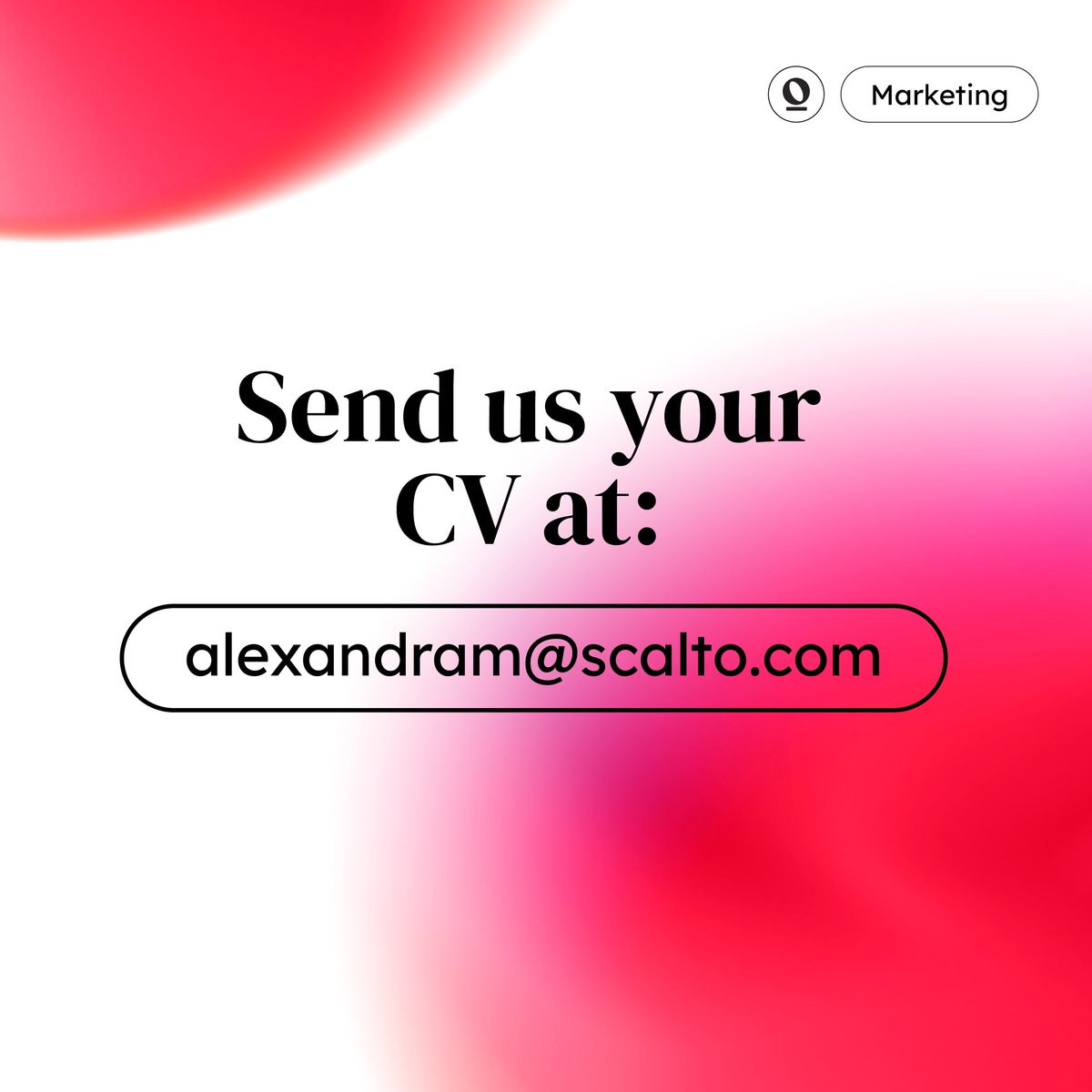 scaltoglobal tweet media
