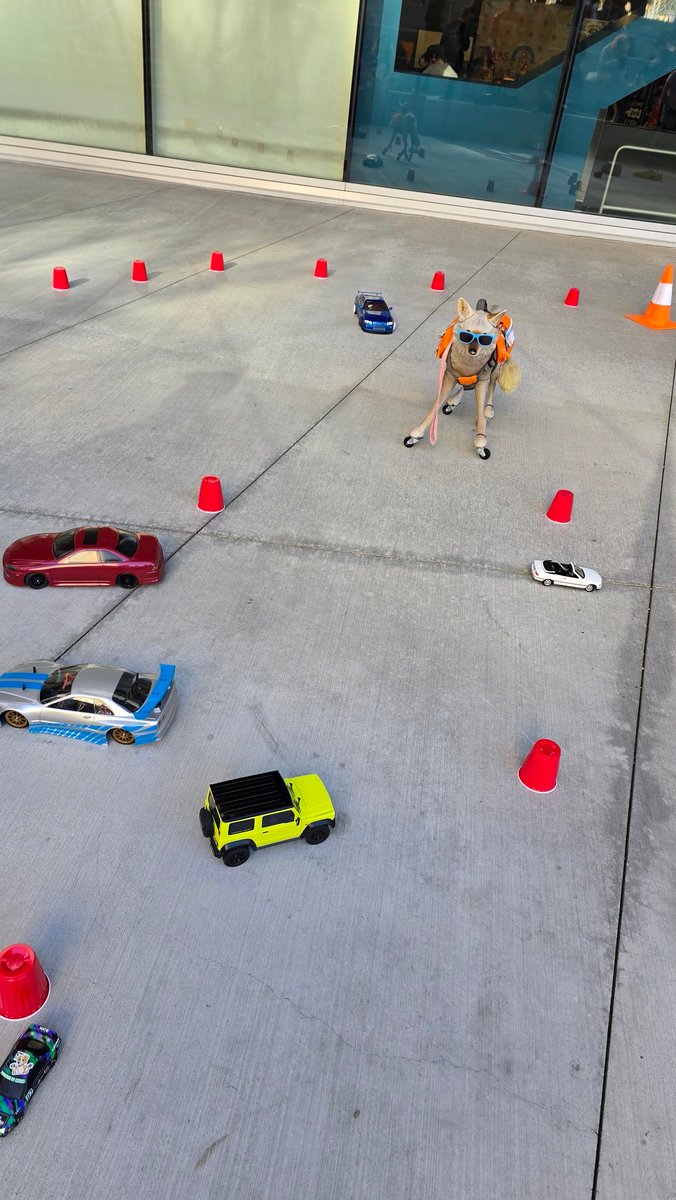 Mini car meet!

<a href="/AwooCru/">AwooCru</a>