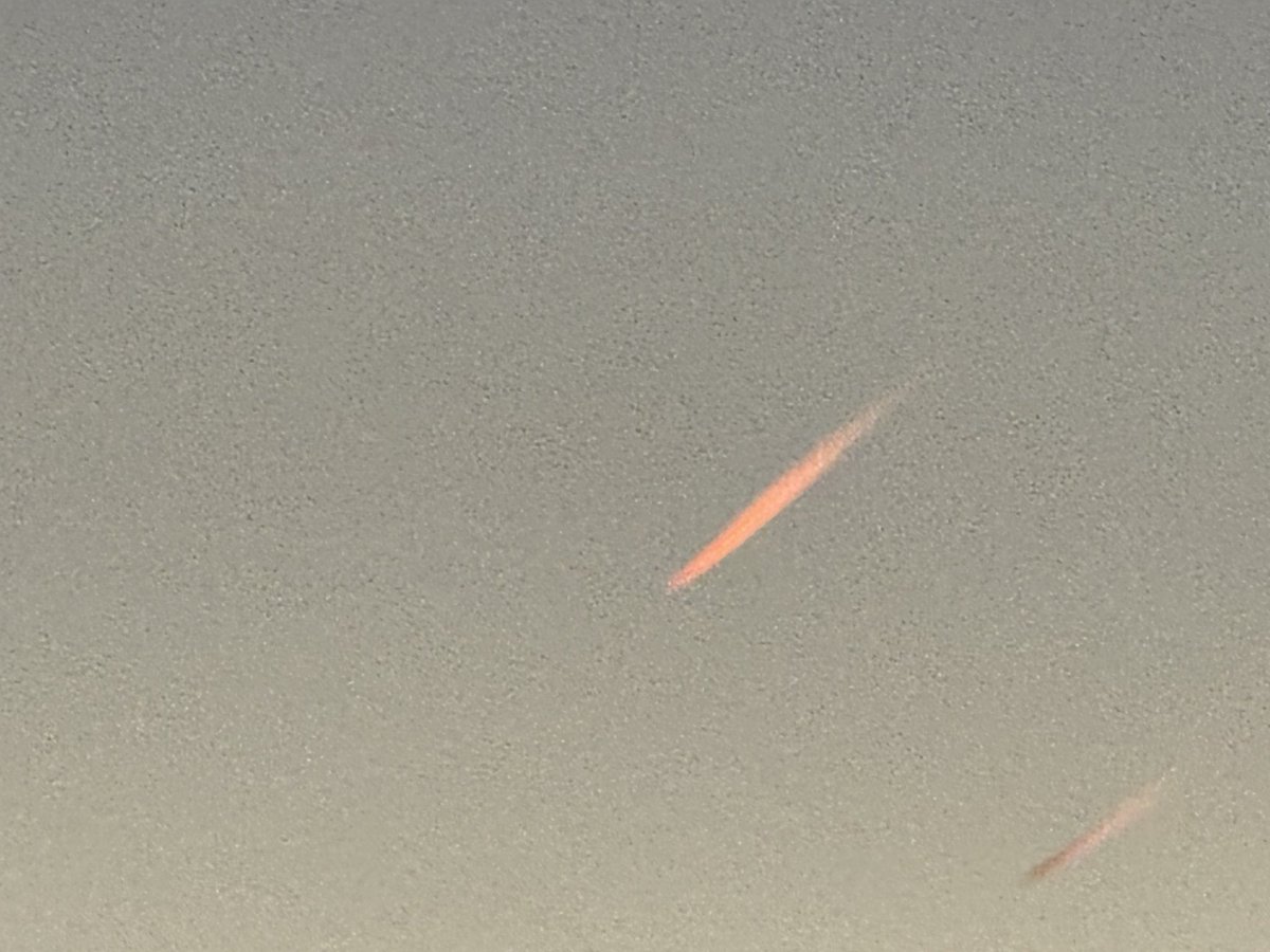 Adam Jay Harrison tweet media