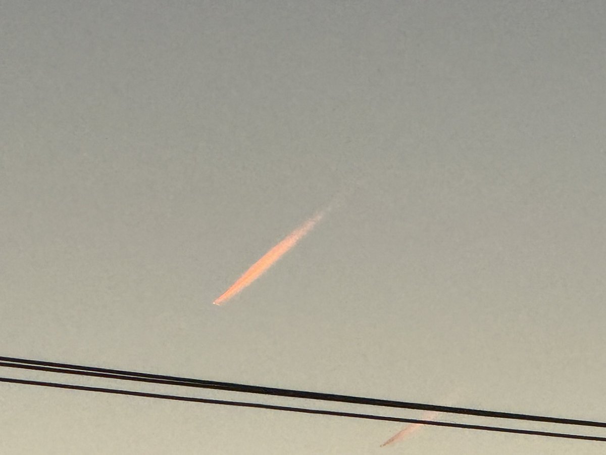 Adam Jay Harrison tweet media