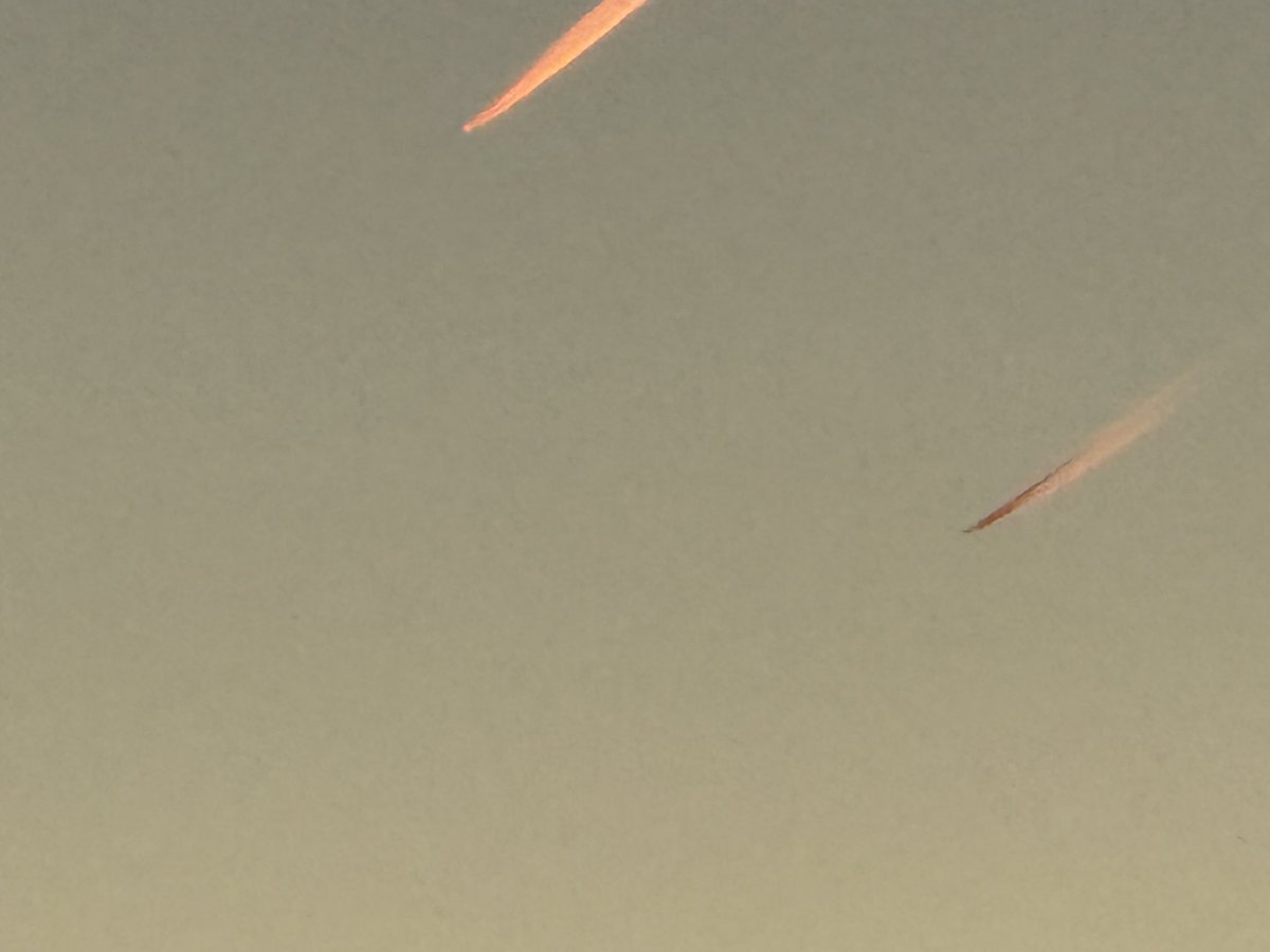 Adam Jay Harrison tweet media