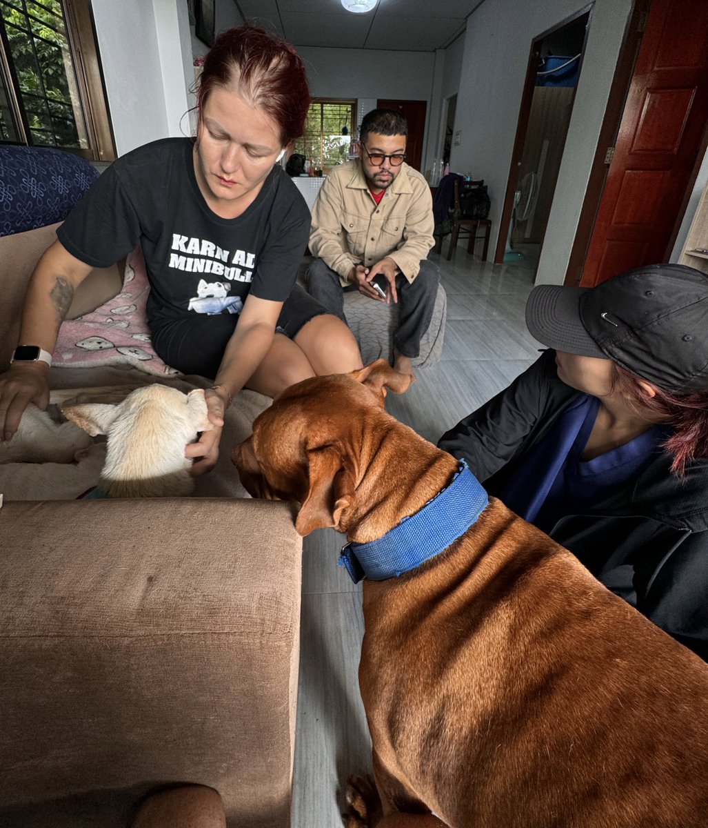 Niall Harbison tweet media