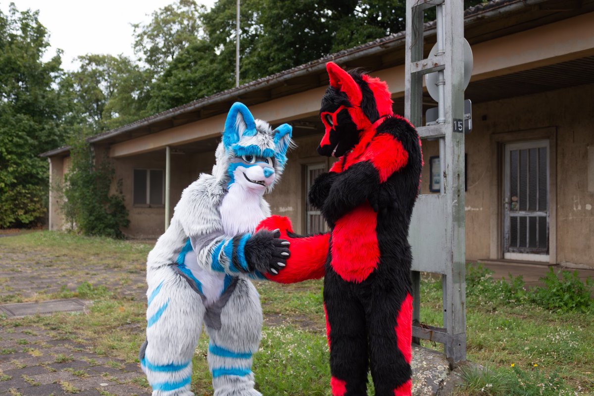 SpectrieTheWusky ^.^ (@spectriewusky) on Twitter photo 🐺Sneaky Wusky👀
🐺Looks like I caught <a href="/IcanFox/">IcanFox</a> tail 👀… I wonder if he minds!?🦊…might just steal it!😈
🦊 :<a href="/IcanFox/">IcanFox</a>
🪡By:<a href="/SilvenaHandmade/">Silvena Handmade</a>
📸By: <a href="/StejfS/">Štejf</a>
🪡By: <a href="/whitewingsuits/">Whitewing Creations</a>
#cute #adorable #fluffy #dog #canine #wusky #furry #fursuiter #FursuitFriday #fox #caughtin4k 🐺Sneaky Wusky👀
🐺Looks like I caught <a href="/IcanFox/">IcanFox</a> tail 👀… I wonder if he minds!?🦊…might just steal it!😈
🦊 :<a href="/IcanFox/">IcanFox</a>
🪡By:<a href="/SilvenaHandmade/">Silvena Handmade</a>
📸By: <a href="/StejfS/">Štejf</a>
🪡By: <a href="/whitewingsuits/">Whitewing Creations</a>
#cute #adorable #fluffy #dog #canine #wusky #furry #fursuiter #FursuitFriday #fox #caughtin4k