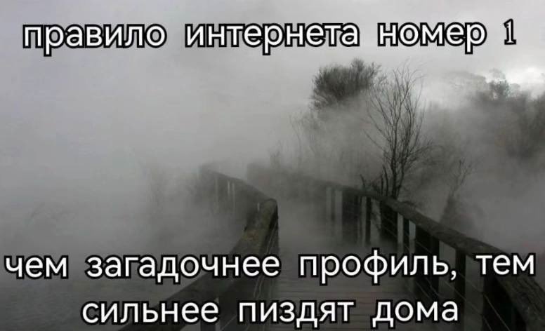 гротеск (@st_grotesque) on Twitter photo 