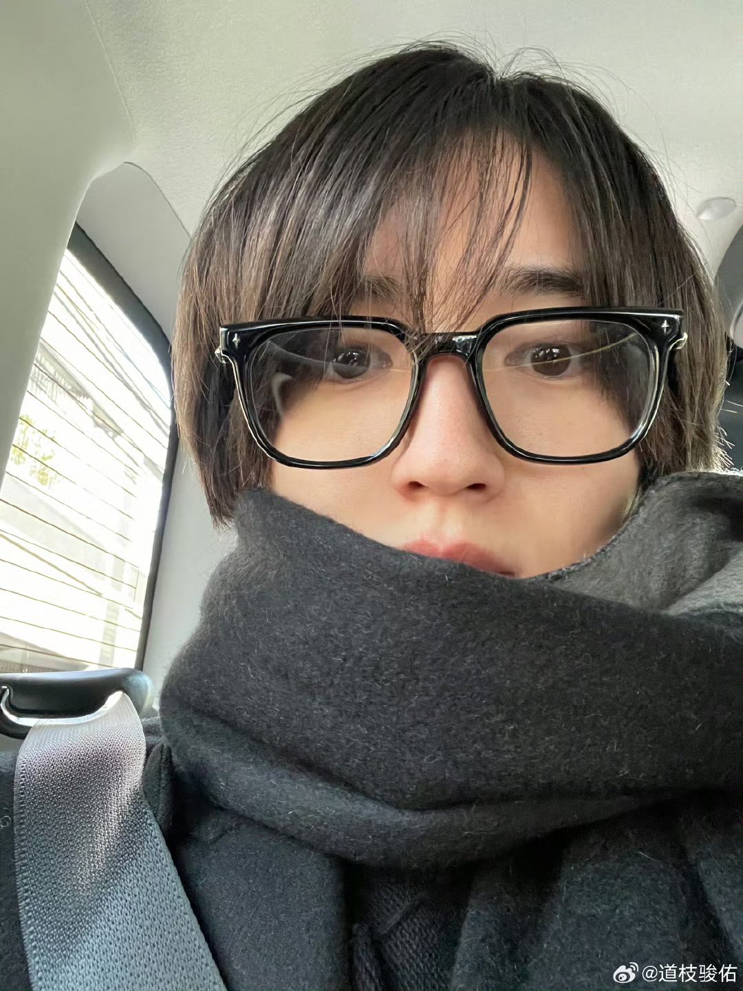 とら on X: 