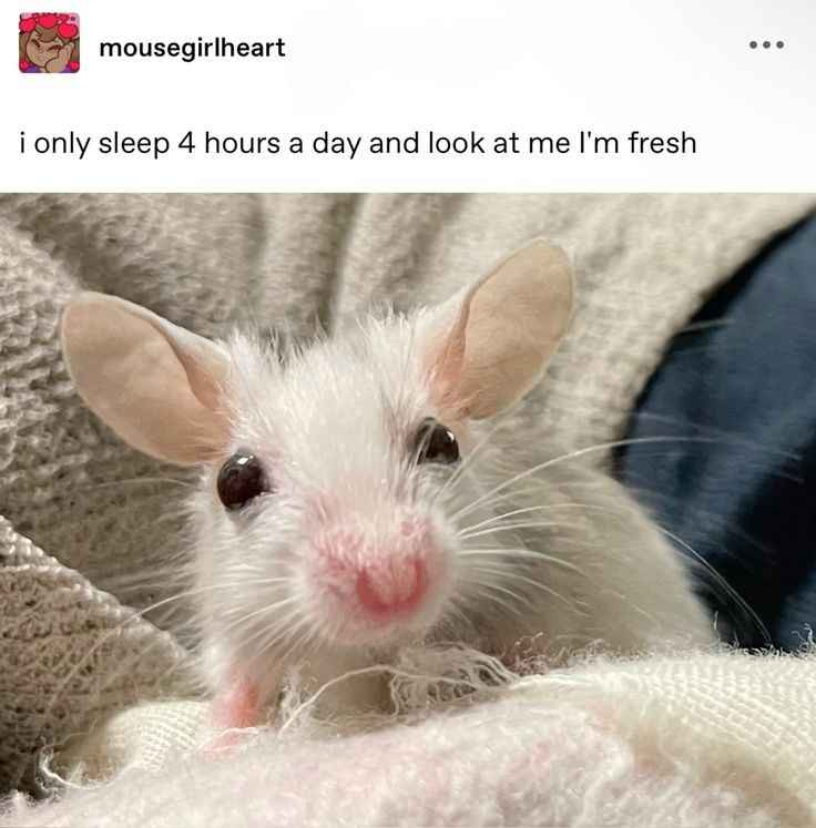 u look fantastic mousey ❤️