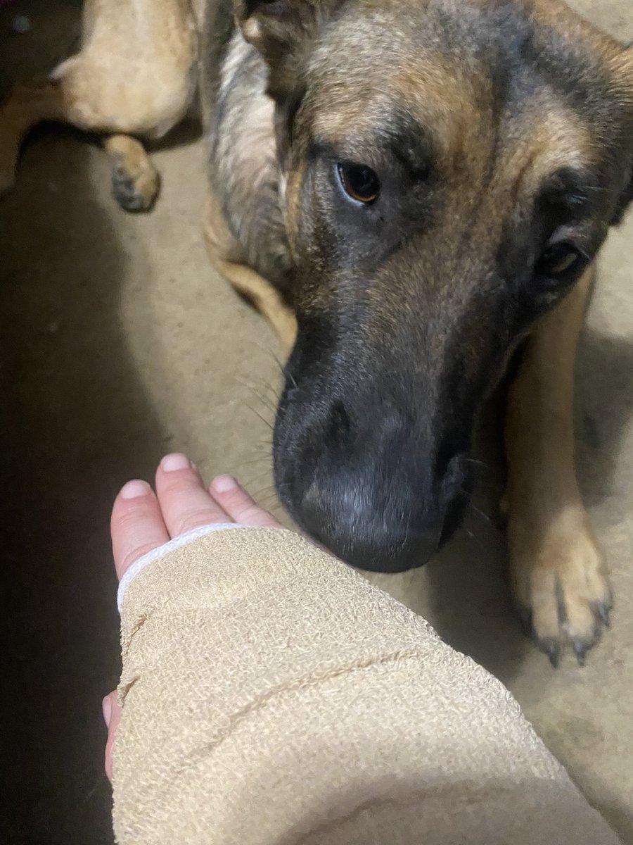 Megan May 🌙 tweet media