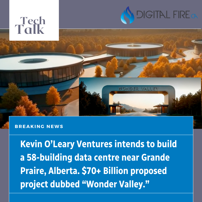 Digital Fire tweet media