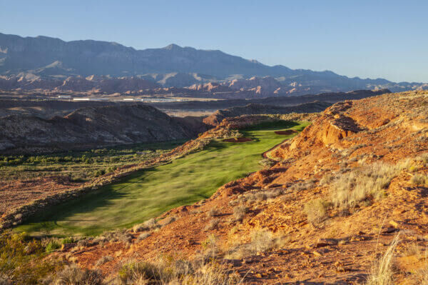 MYGOLFSPY tweet media