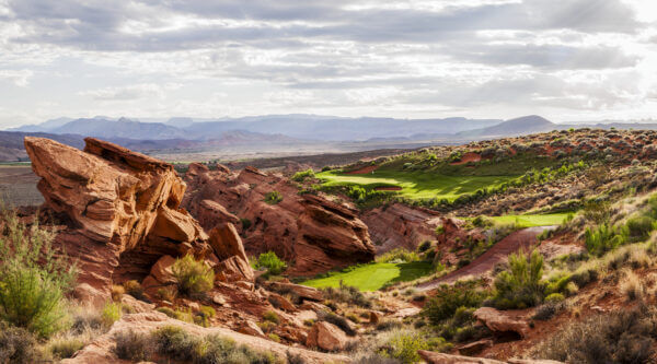MYGOLFSPY tweet media