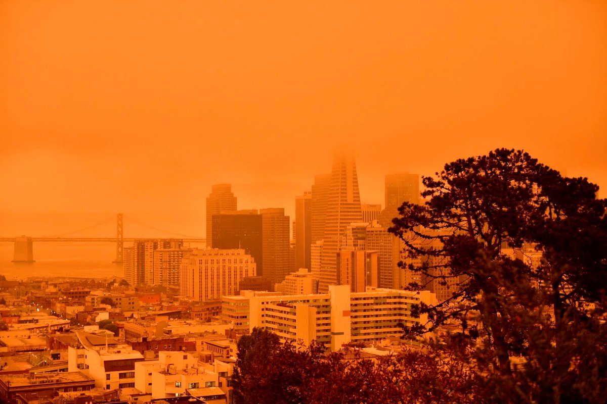 🌪️🌊🔥🫨 Are YOU prepared?? In light of the recent warnings and sadly the LA fires, I put together a recommendation guide for emergency preparedness in SF. Got questions or tips? Let me know!  askmesf.com/emergency-in-s…