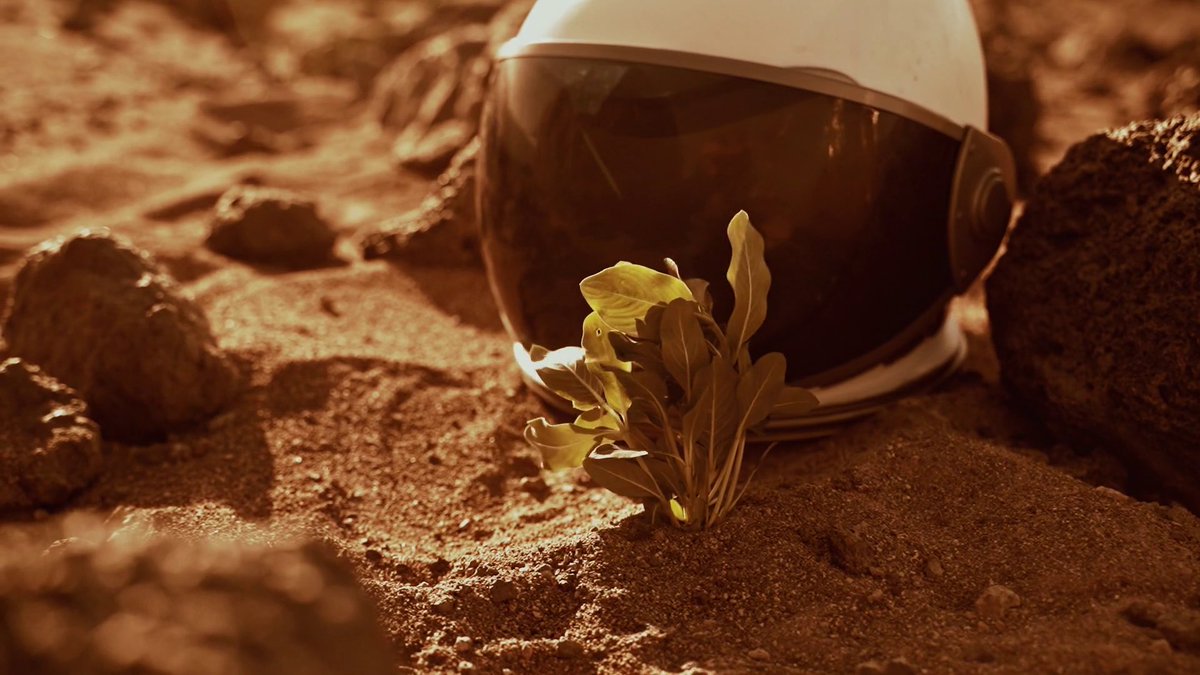 My new single “Devote The Sky To You” is out now!
The music video will be out at 9pm CET (link in bio)

#musicvideo #videoshoot #space