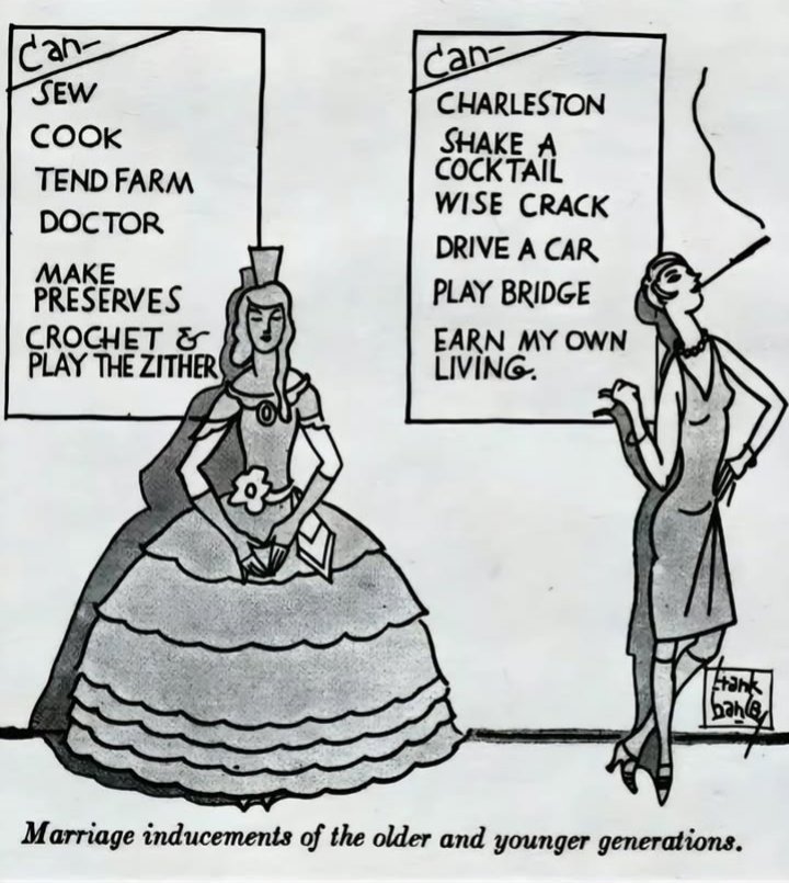 Any female born after 1893 can't cook all they know is Charleston, wise crack, drive a car, eat hot chip and lie
