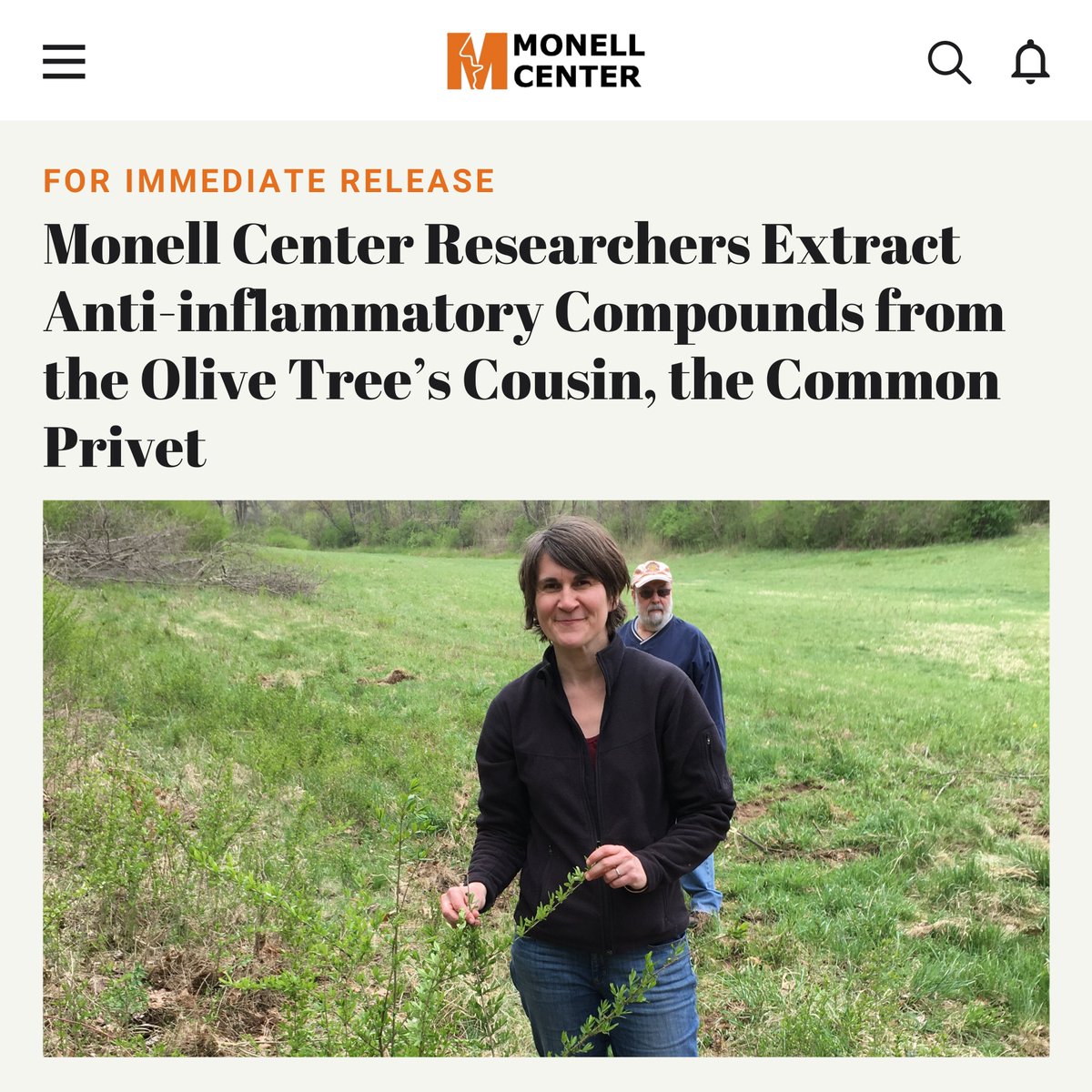 📣  More in recent news: Monell Center Researchers Extract Anti-inflammatory Compounds from the Olive Tree’s Cousin, the Common Privet

📑 Learn more at: monell.org/monell-center-…