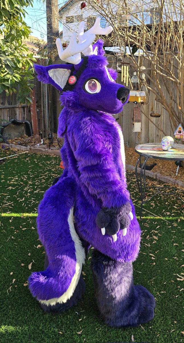 Anduke 🧡 (@grandukeanduke) on Twitter photo Happy #FursuitFriday !! Here is the much smaller than me <a href="/fnafdoodle/">DOODZIE 🇪🇪 (hiatus till 29th of May)</a> wearing Bailey!!!
(I Promise my pomegranate tree isn't dead it just does that in the winter!!) Happy #FursuitFriday !! Here is the much smaller than me <a href="/fnafdoodle/">DOODZIE 🇪🇪 (hiatus till 29th of May)</a> wearing Bailey!!!
(I Promise my pomegranate tree isn't dead it just does that in the winter!!)