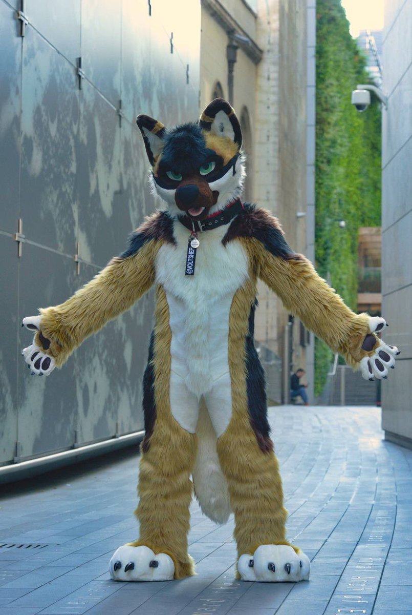 Let not weakness live in your veins 💧 

(But only fluff and stuff)

📸 <a href="/KoviDeerDoge/">Kovi ^_−☆</a>  #FursuitFriday