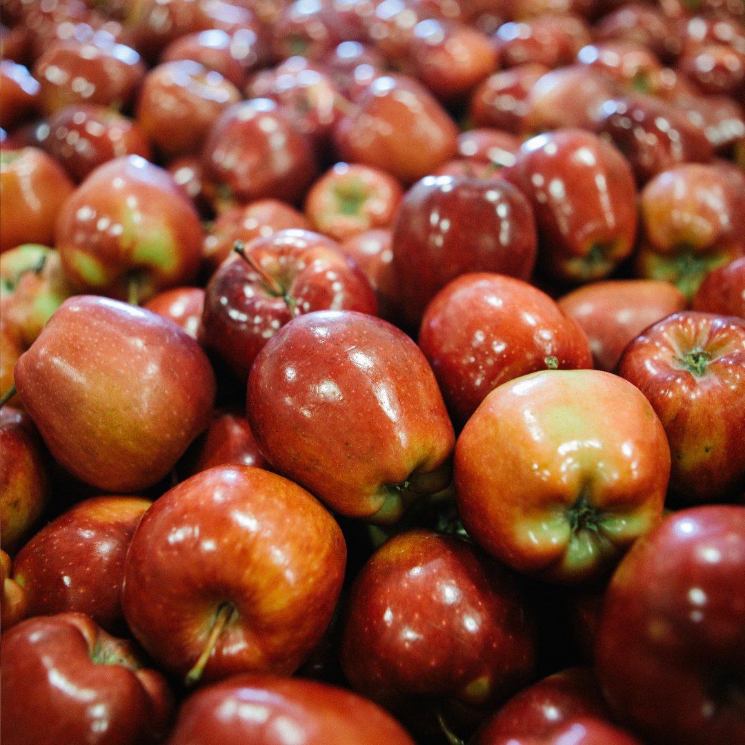 Community Food Share tweet media