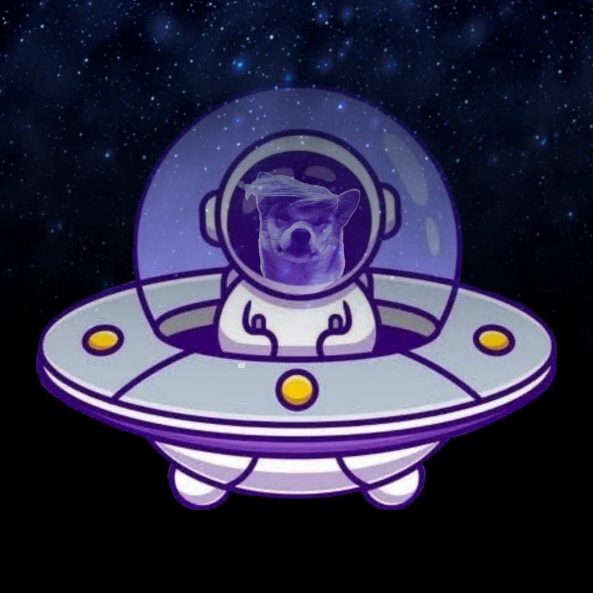 dogenalJdtrump's tweet photo. Big things are coming!🐶🐶🐶

Stay tuned⚡️

Drop your $SOL
Like &amp; RT

#Solana #airdrop #DEX https://t.co/qOMQ985bXt