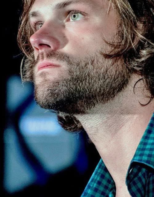 nuts_ly's tweet image. 