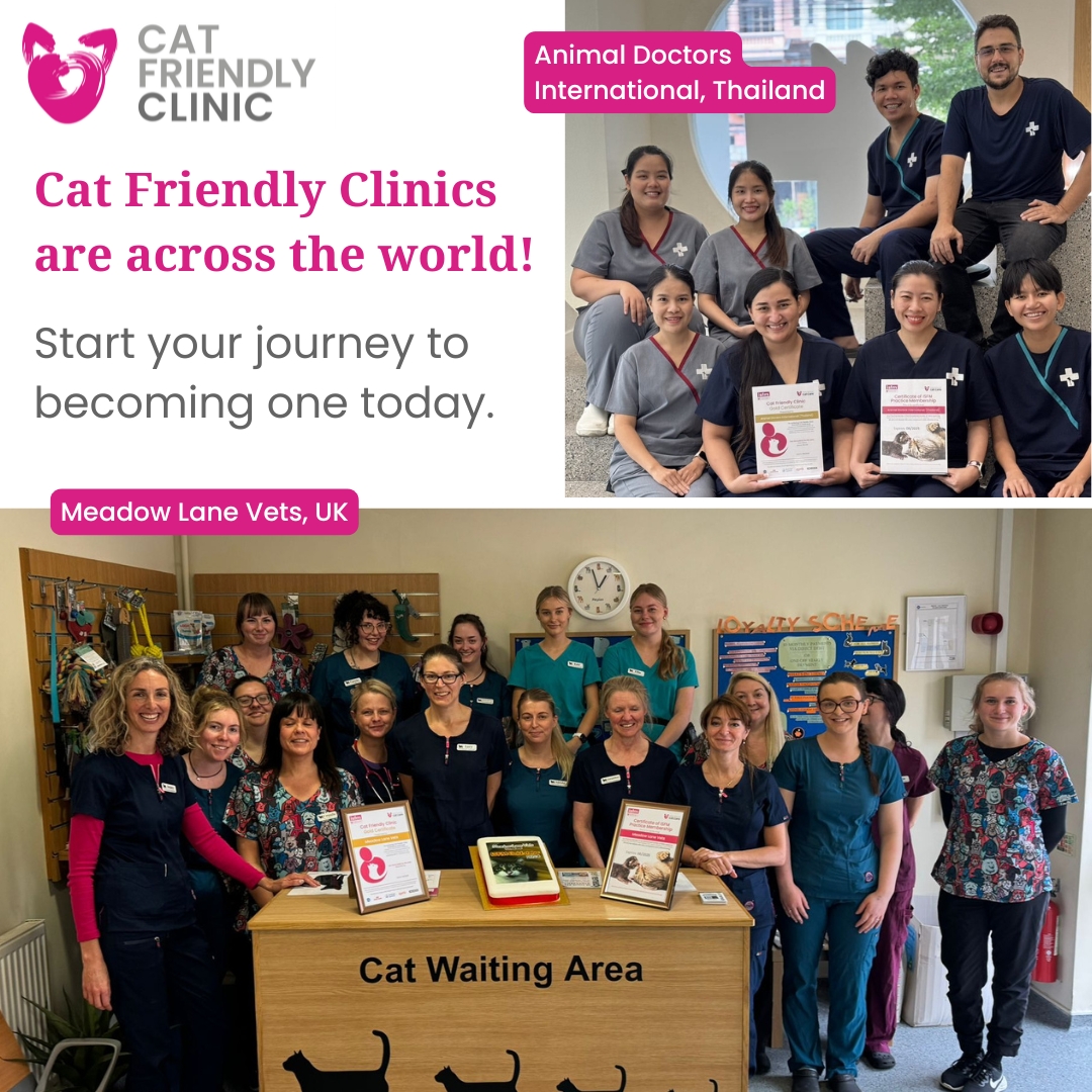 👏😻 We love to share the success of our Cat Friendly Clinics that have gone above and beyond to make changes to their clinics because they understand the unique nature and needs of cats. Start your journey 👉 
catfriendlyclinic.org/vets-nurses/