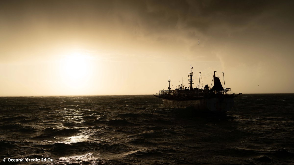 Multiple investigations in 2024 revealed horrific human rights abuses in the international seafood industry. We cannot allow the U.S. to be a dumping ground for seafood produced by these terrible practices.

Speak up to #StopIllegalFishing &amp; #EndHumanTrafficking: