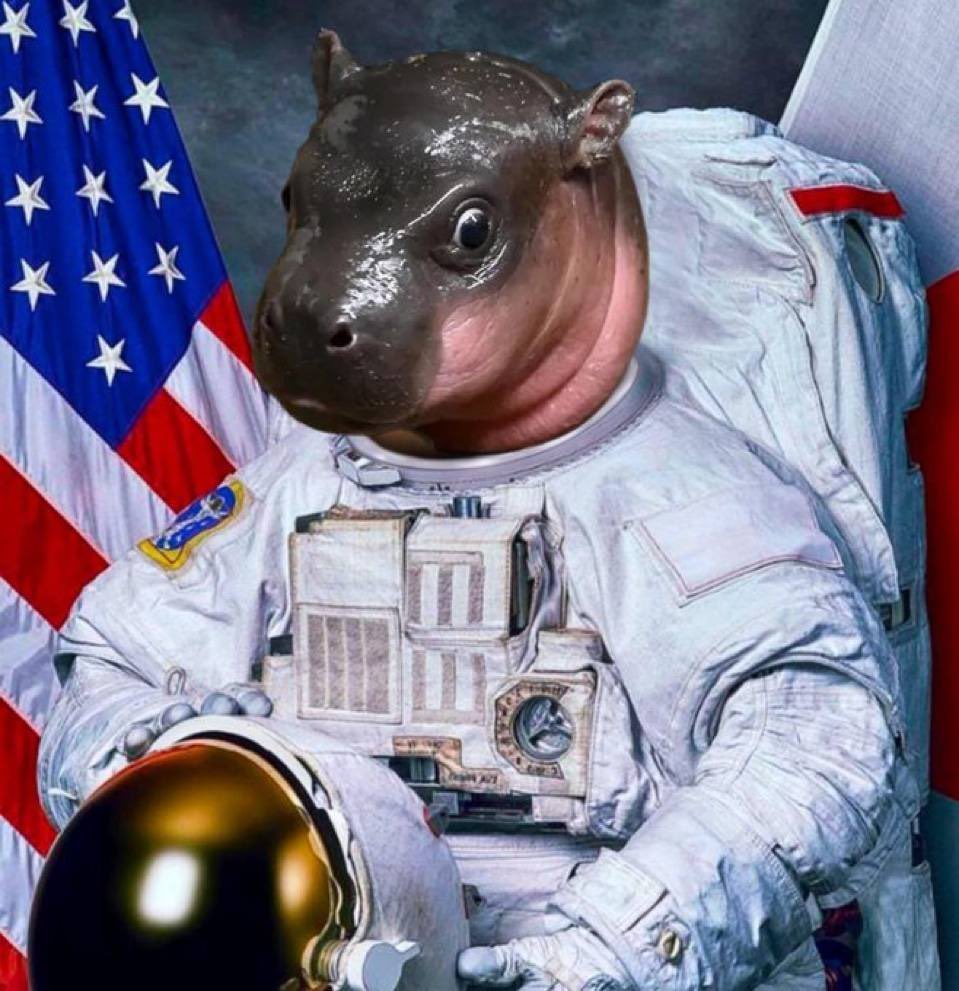 issaglampuss's tweet photo. @CryptoKevvvv @elonmusk Its gonna be : Buy $POPPY below 1$
🤣🦛🦛🦛🚀🚀🚀🚀🚀🚀 #Poppy #poppyonsolana #PoppyonSOL 
Ca 

GD1AR5uHytu7nHJ9zWYEEHytmLe7MaD8wg6Tzesdpump

@PoppyThePygmy https://t.co/TLtdWI2c1z