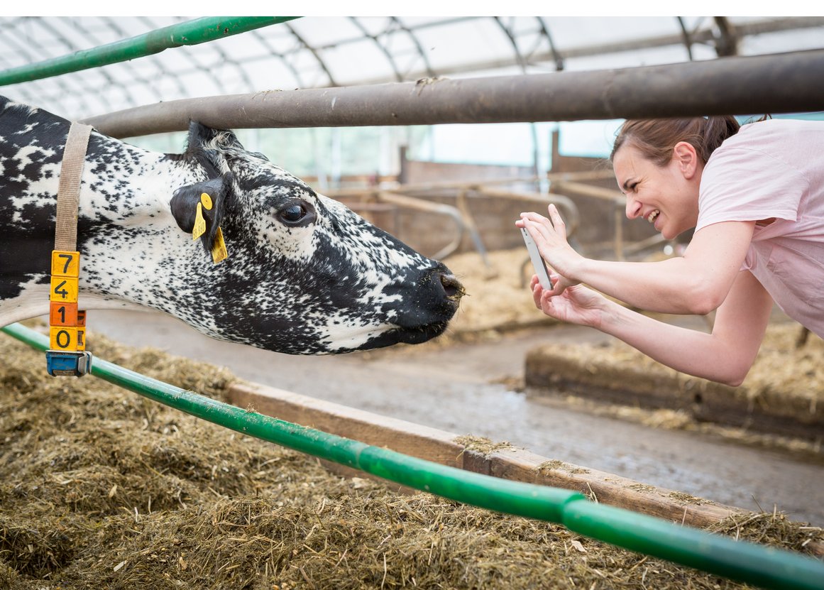 Institut für Agrar- und Stadtökologische Projekte tweet media