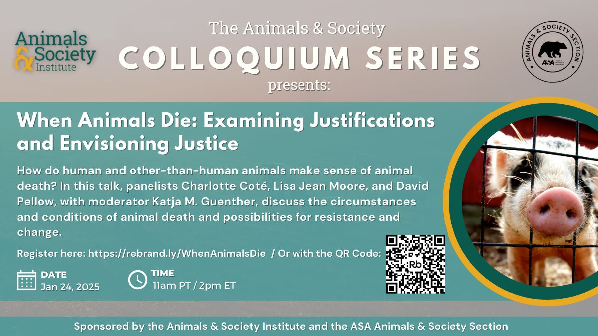 Join Katja M. Guenther, co-editor of "When Animals Die: Examining Justifications and Envisioning Justice," at The Animals &amp; Society Colloquium Series.

In this Zoom talk, panelists will discuss the circumstances and conditions of animal death and the possibilities for change.