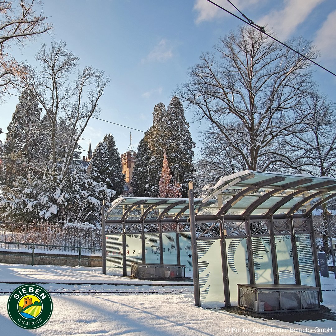 Das7Gebirge's tweet photo. Weil es so schön war ;)
Noch ein paar Bilder der letzten Jahre mit Schnee …
Viel Spaß beim Wandern …
Euer Team der Tourismus #Siebengebirge GmbH
.
.
#Wanderlust #Wanderland #Königswinter #Unkel #Drachenfels #Wandern #Radfahren #Schifffahren #Drachenfelsbahn @regionbonn https://t.co/kjPtJBoO32