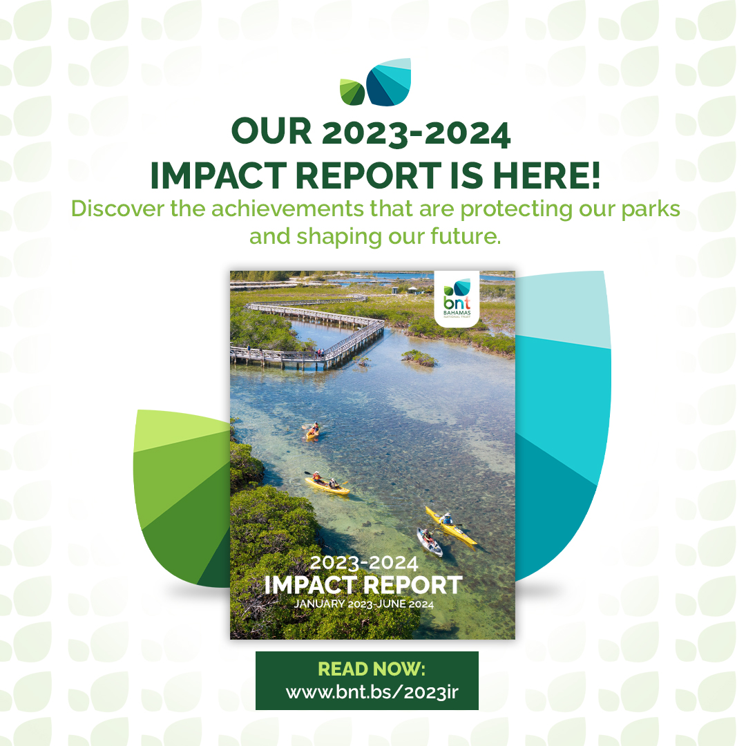 Read our just-released 2023-2024 Annual Impact Report to learn about &amp; celebrate our conservation successes! Thanks to our partners &amp; supporters for their contributions to protecting The Bahamas' natural treasures. Read the full report @ bnt.bs/2023ir.