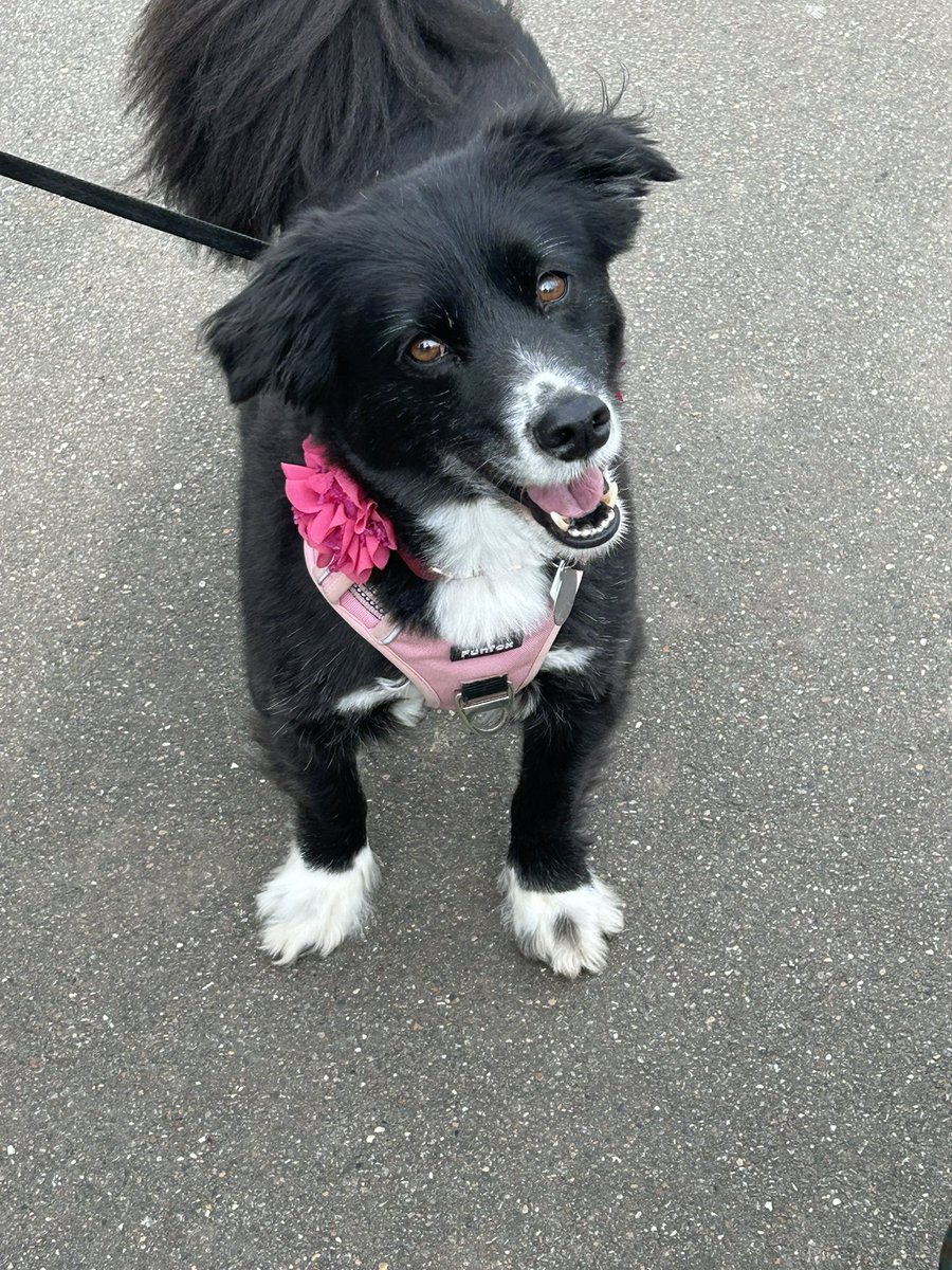 Rhiannon 🧠 tweet media