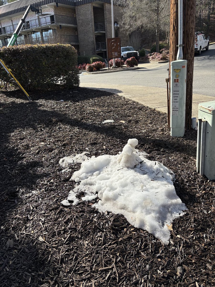 Tom Hall tweet media