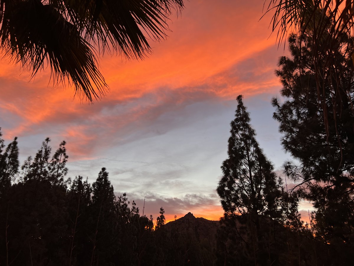 joykinga's tweet image. Grateful to still be safe in West Hills, CA and for all frontline workers. Stay strong LA.