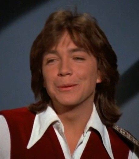 jessbythebsb's tweet photo. That moment when David smiles as he sings.. ah our hearts πππππ #DavidCassidy #love #perfecteverything https://t.co/xqiHBvC6mt