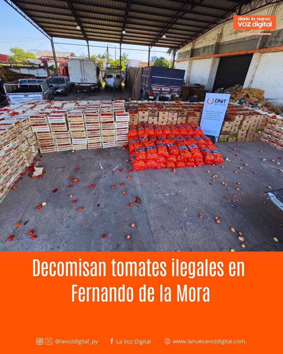 lavozdigital_py's tweet image. 🍅🚨 Decomisan tomates ilegales en Fernando de la Mora 🚨🍅

🔗 Más detalles en nuestro sitio web: lanuevavozdigital.com/?p=8717

#LaNuevaVozDigitalPy #Tomates #Decomiso #Operativo #FernandoDeLaMora #Agricultura