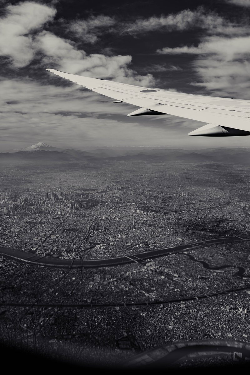 Anthony BONGIOVANNI tweet media