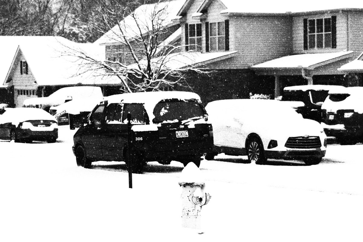 quantumnas's tweet image. snow day in b&amp;amp;w🌨️