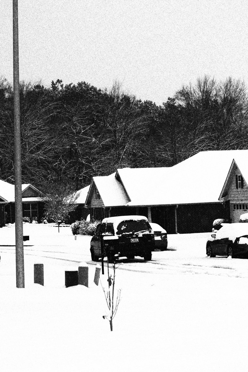 quantumnas's tweet image. snow day in b&amp;amp;w🌨️