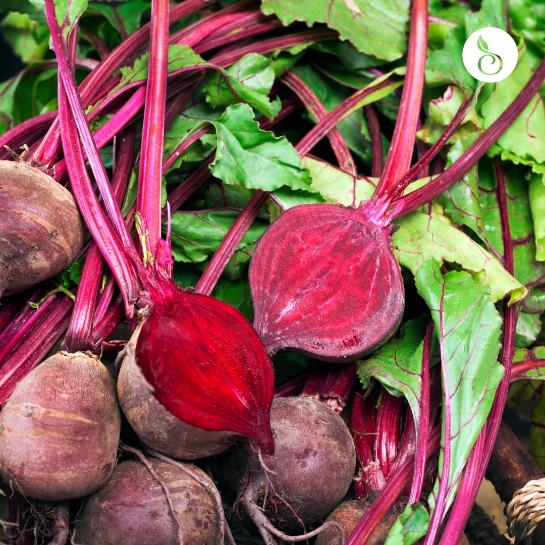 Organic beets have up to 69% more antioxidants than conventional. Now what beets that? Get the organic backed science at organic-center.org/research
#OrganicBeets #OrganicProduce #FreshProduce #FunFact #Antioxidants #Vegetiables
