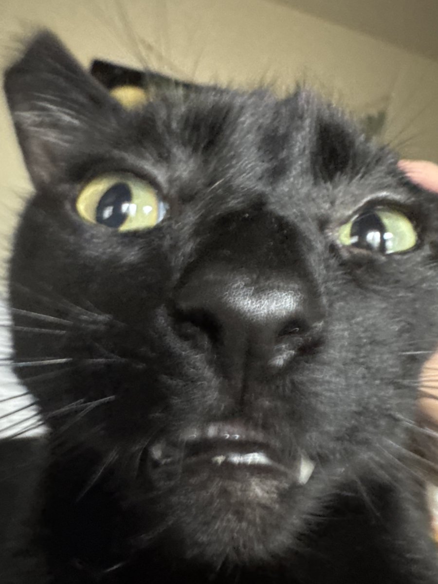 hi i keep forgetting to post happy new year though love and light and peace on planet eart